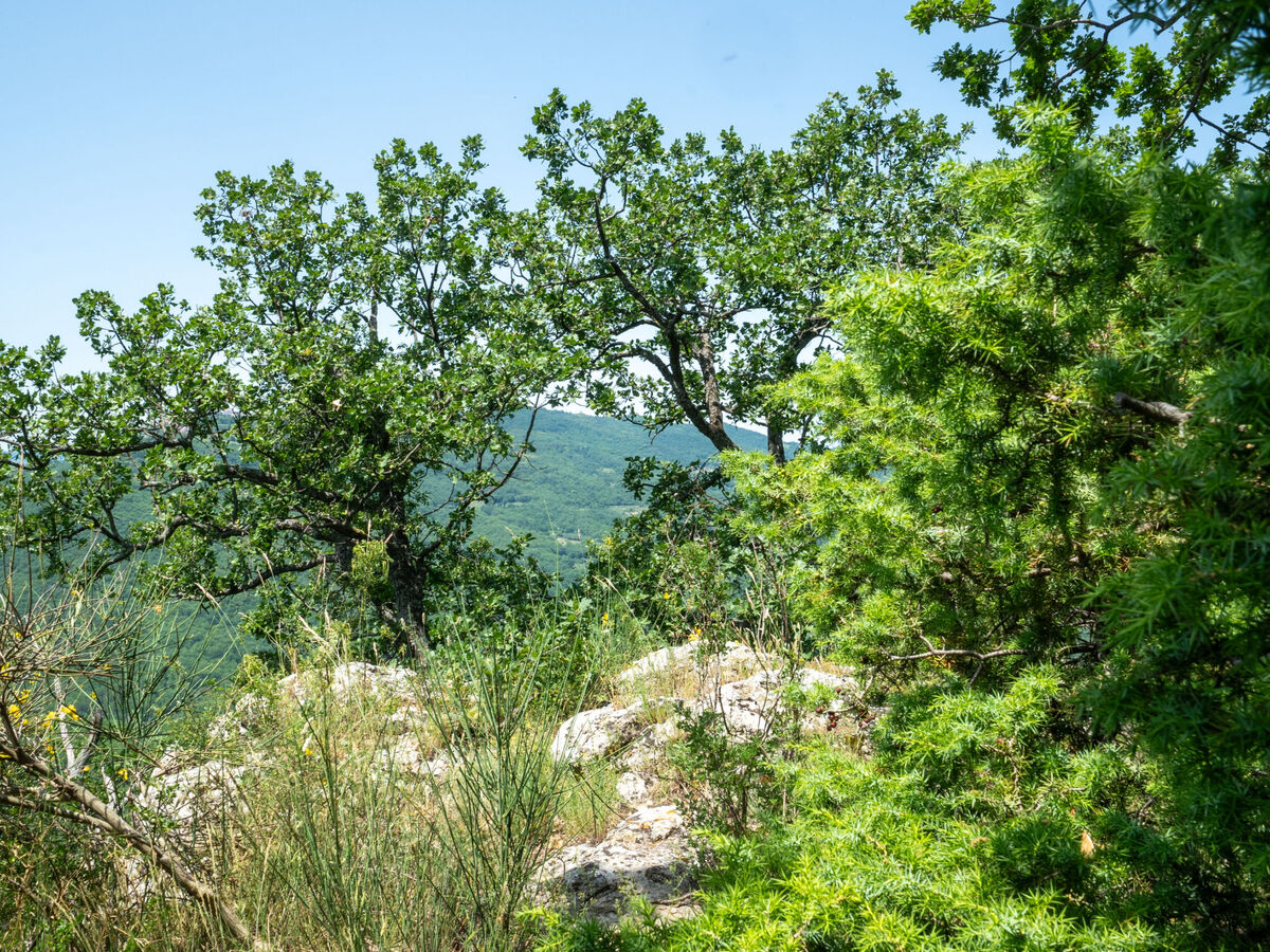 Gîte Nonna Gemma – Forêt et jardin près de Palmoli - Photo 45