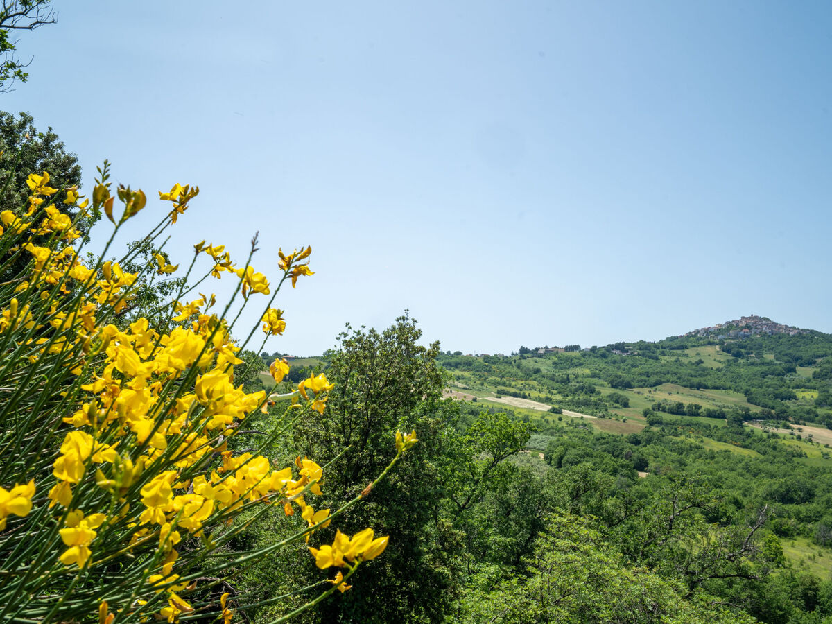 Gîte Nonna Gemma – Forêt et jardin près de Palmoli - Photo 46
