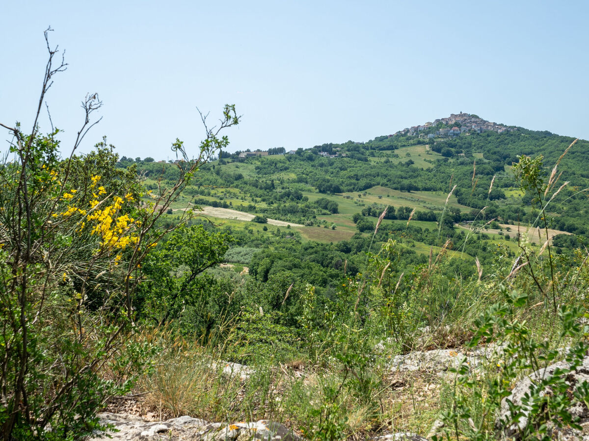 Gîte Nonna Gemma – Forêt et jardin près de Palmoli - Photo 47