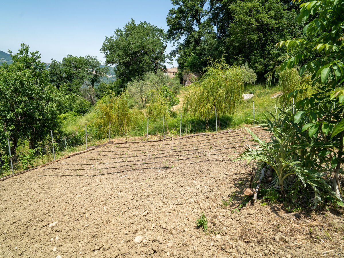 Gîte Nonna Gemma – Forêt et jardin près de Palmoli - Photo 48