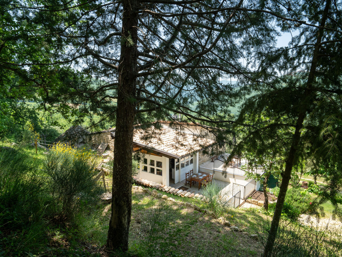 Gîte Nonna Gemma – Forêt et jardin près de Palmoli - Photo 49