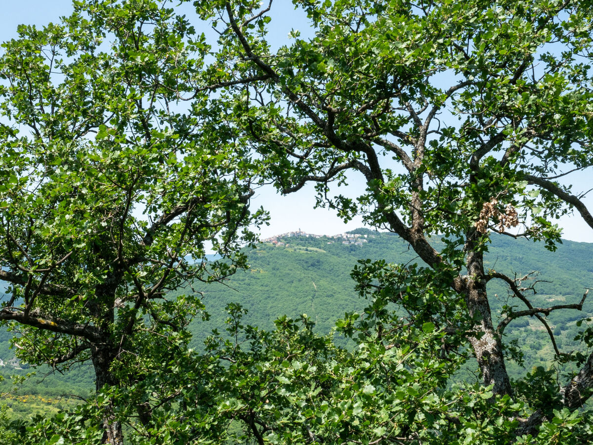 Gîte Nonna Gemma – Forêt et jardin près de Palmoli - Photo 50