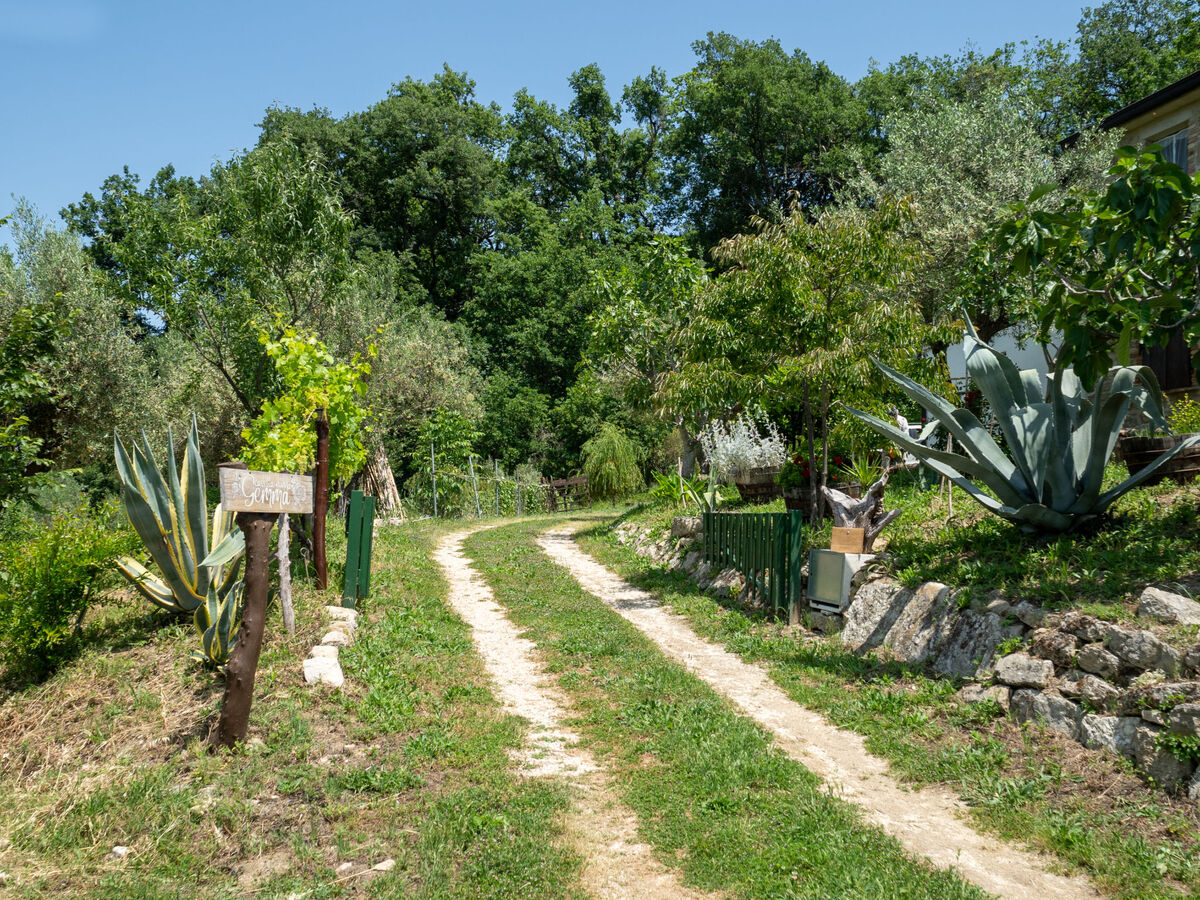 Gîte Nonna Gemma – Forêt et jardin près de Palmoli - Photo 51