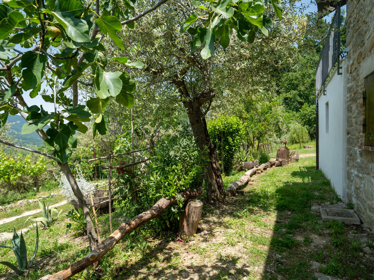 Gîte Nonna Gemma – Forêt et jardin près de Palmoli - Photo 52