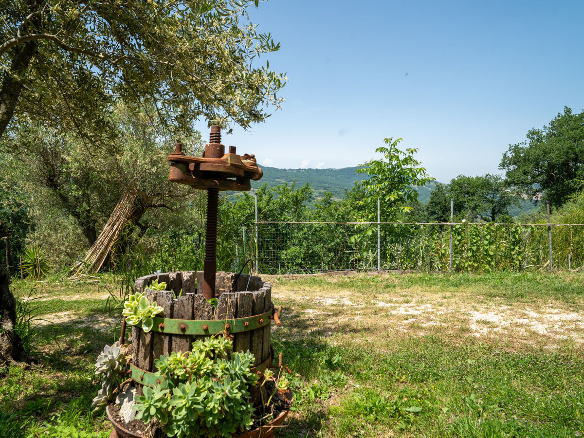 Gîte Nonna Gemma – Forêt et jardin près de Palmoli - Photo 53