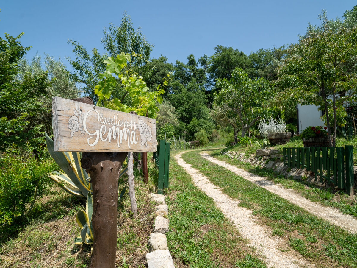 Gîte Nonna Gemma – Forêt et jardin près de Palmoli - Photo 55