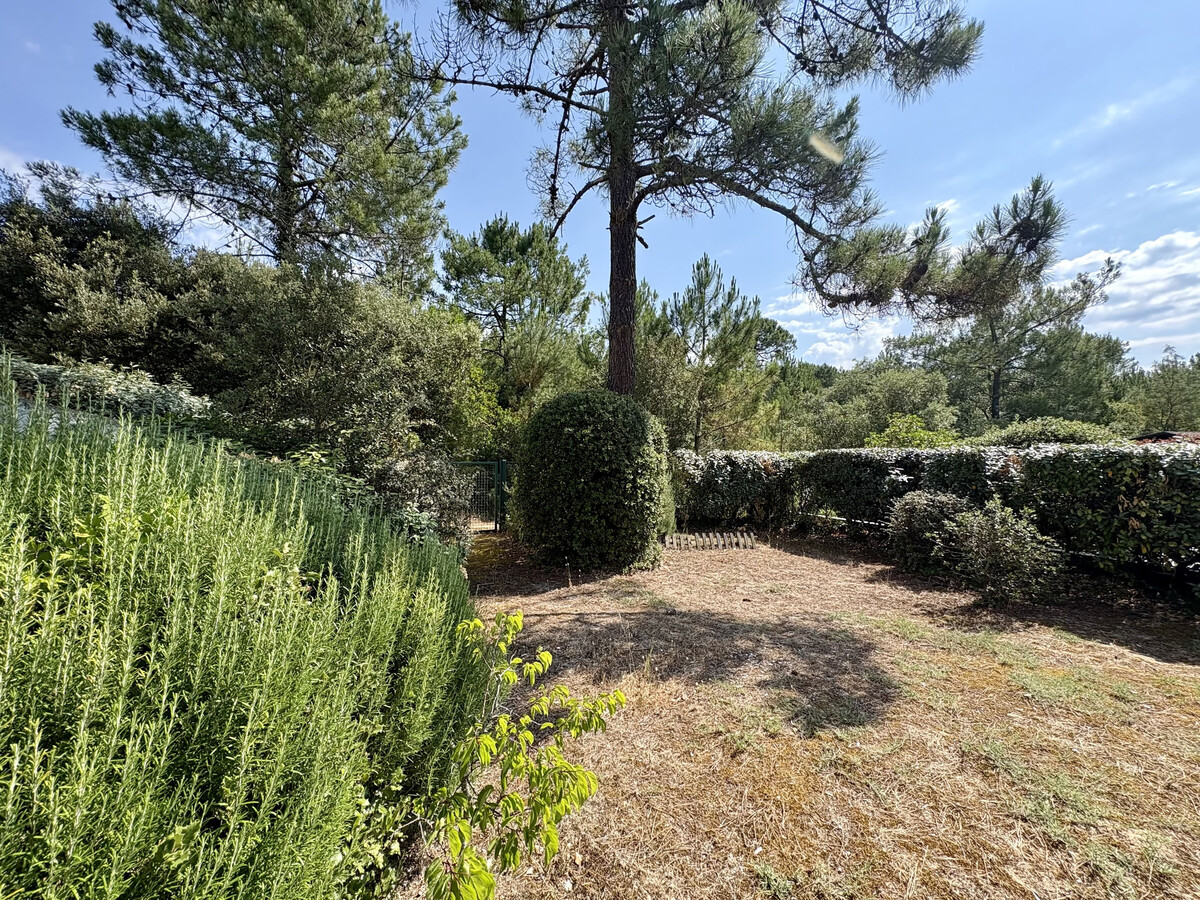 Maison 6 pers. forêt & plage à Saint-Jean-de-Monts - Photo 30