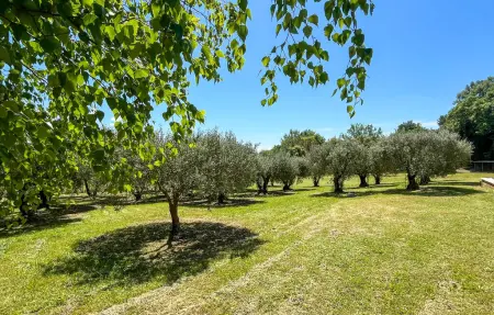 Maison 6 pers. piscine et accès étang à Cabrières-d'Aigues : photo 10