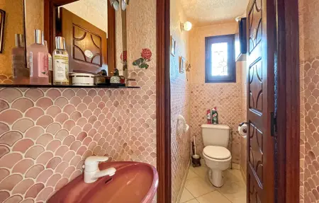 Maison 6 pers. piscine et accès étang à Cabrières-d'Aigues : photo 18