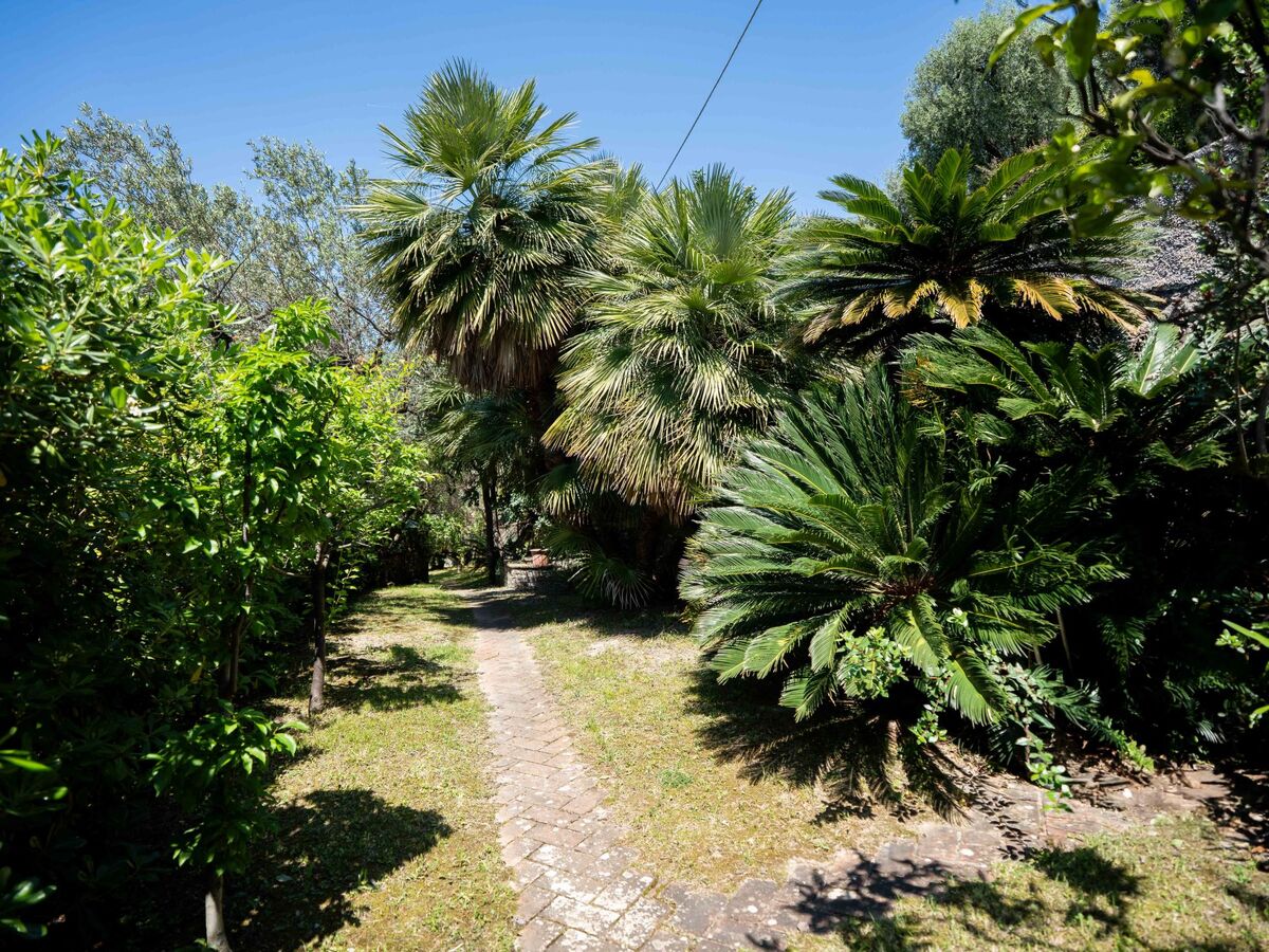Villa Girasole, 3 chambres à 1 km de la plage - Photo 35