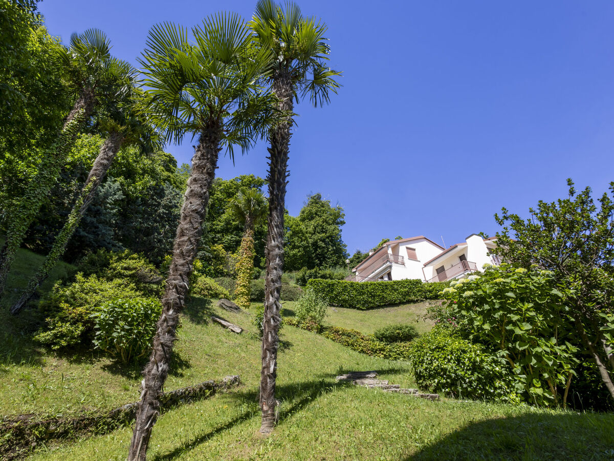 Il Gianlupo Azzurro, appartement Belgirate vue lac - Photo 21
