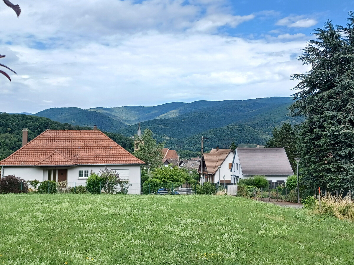 Gîte neuf 4 chambres aux pieds des Vosges - Photo 28