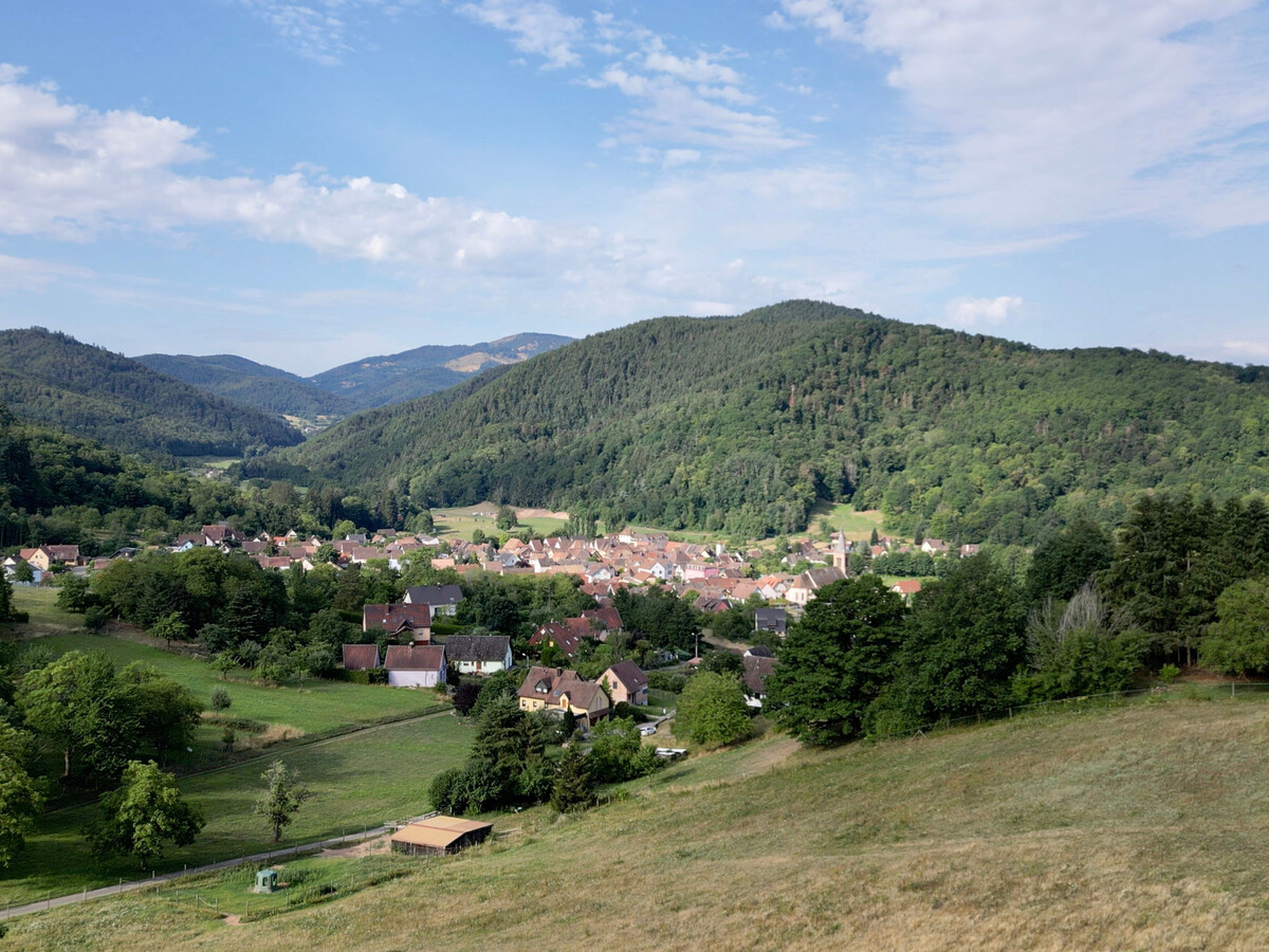 Gîte neuf 4 chambres aux pieds des Vosges - Photo 32