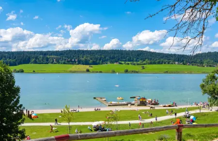Appartement 37 m² avec terrasse et vue lac, Saint-Point-Lac : photo 11
