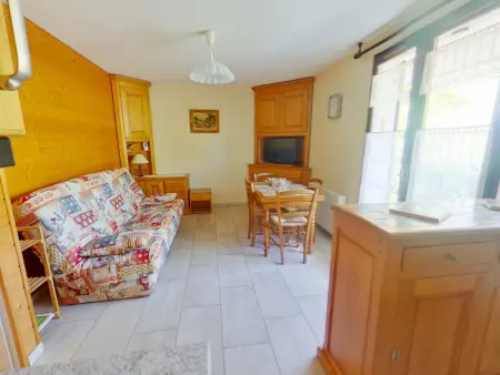 Appartement 33m² terrasse Sud-Ouest aux Rousses : photo 3