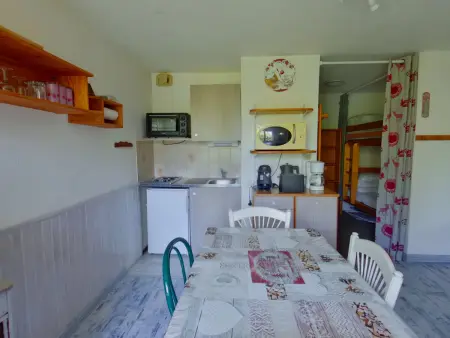 Studio 24 m² lumineux avec loggia aux Rousses : photo 6