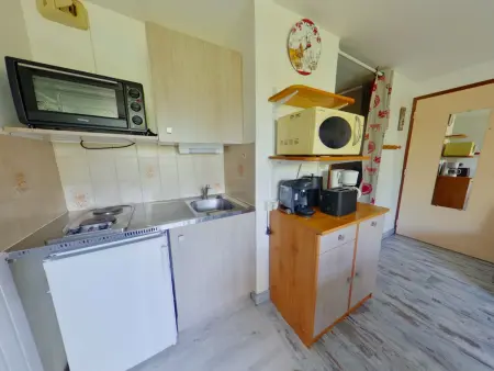 Studio 24 m² lumineux avec loggia aux Rousses : photo 9