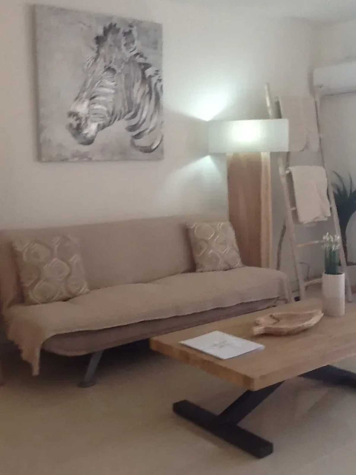 Studio 38 m² avec piscine et vue océan à Saint-Martin - Photo 20