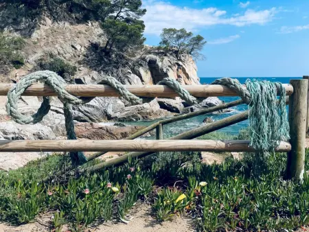 Studio Loomins rénové 2025, vue piscine à Tossa de Mar : photo 13