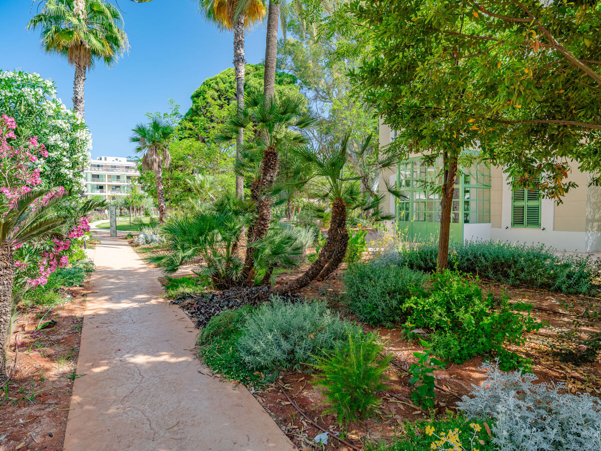 Nerva, apt 100m² 3 chambres à 300m de la plage - Photo 56
