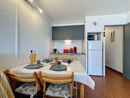 Studio 28 m² avec terrasse à Port Camargue : photo 8