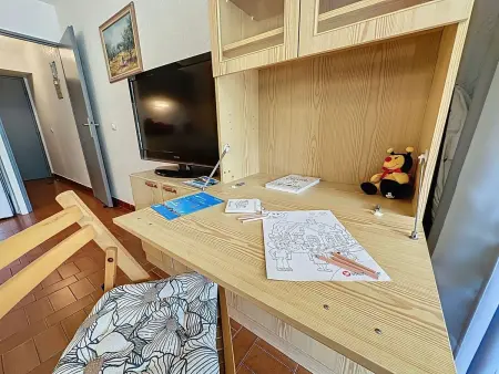 Studio 28 m² avec terrasse à Port Camargue : photo 10