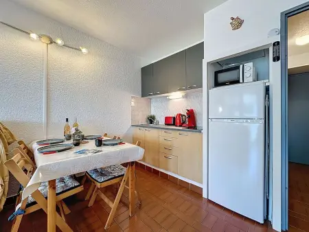 Studio 28 m² avec terrasse à Port Camargue : photo 12