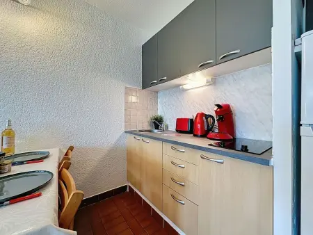 Studio 28 m² avec terrasse à Port Camargue : photo 13