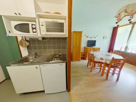 Studio 24 m² loggia Sud-Est aux Rousses : photo 8