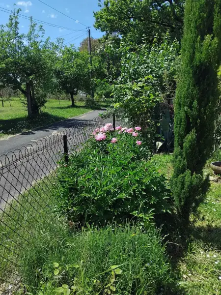 Appartement 2 chambres avec jardin clos à Saint-Geniès : photo 26