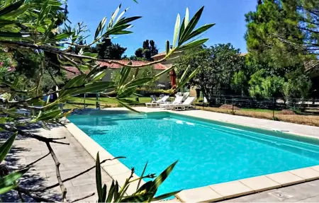 Location maison à Violès