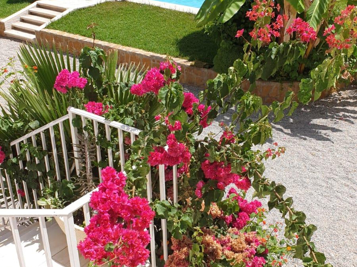 Maison 2 chambres avec piscine à 100 m de la plage - Photo 2