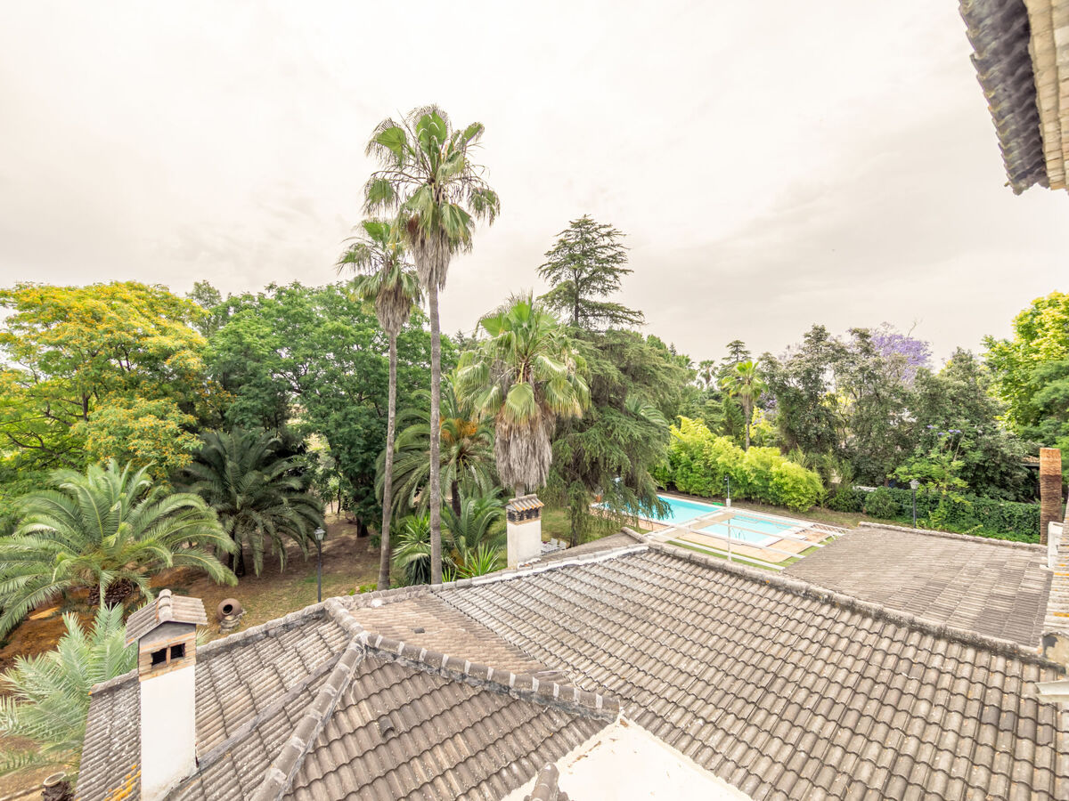 Villa Las Codornices – 500 m² et piscine à Sanlúcar la Mayor - Photo 47