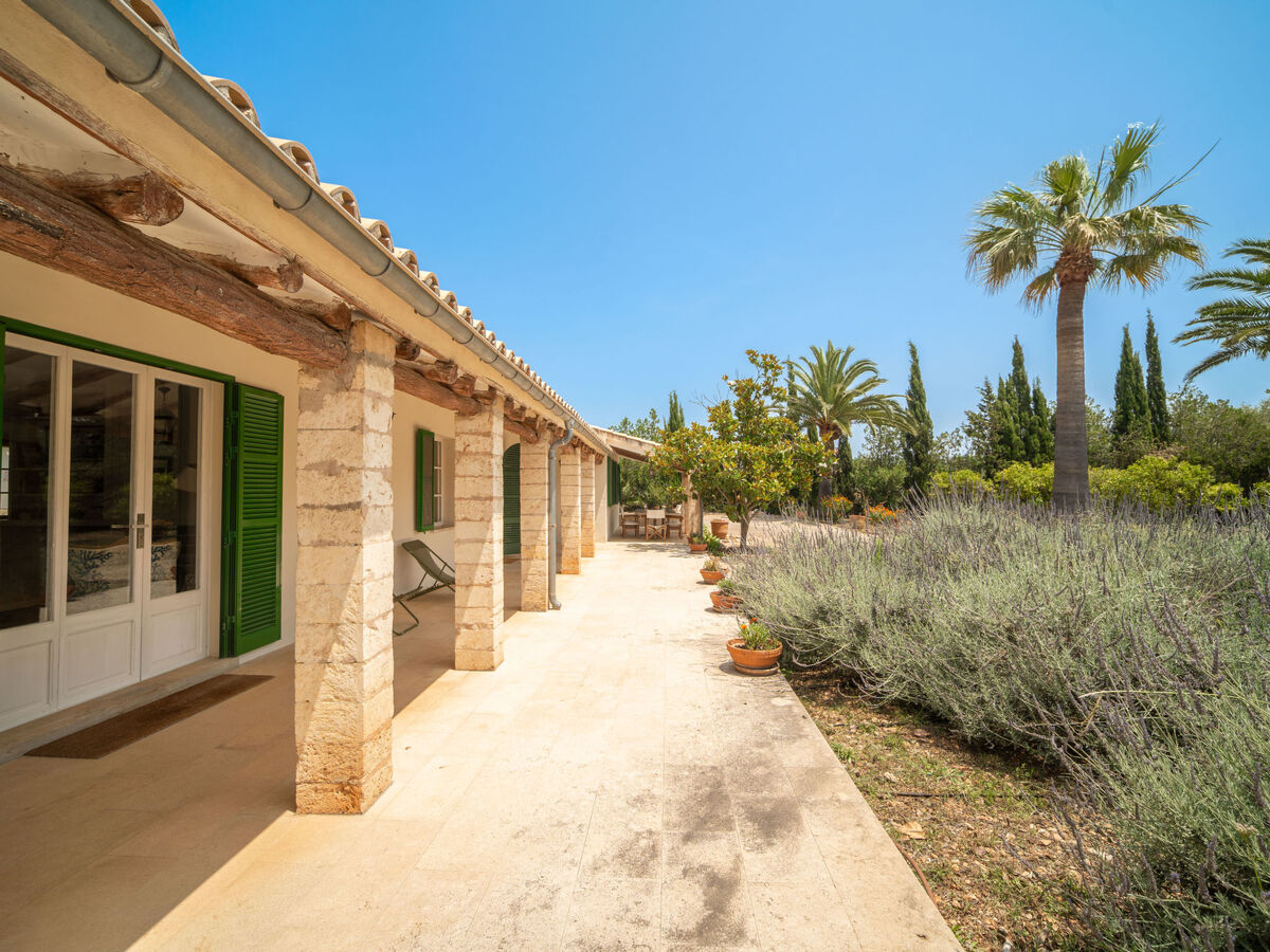 Can Renou, maison 10 pers. avec piscine à Alaró - Photo 40