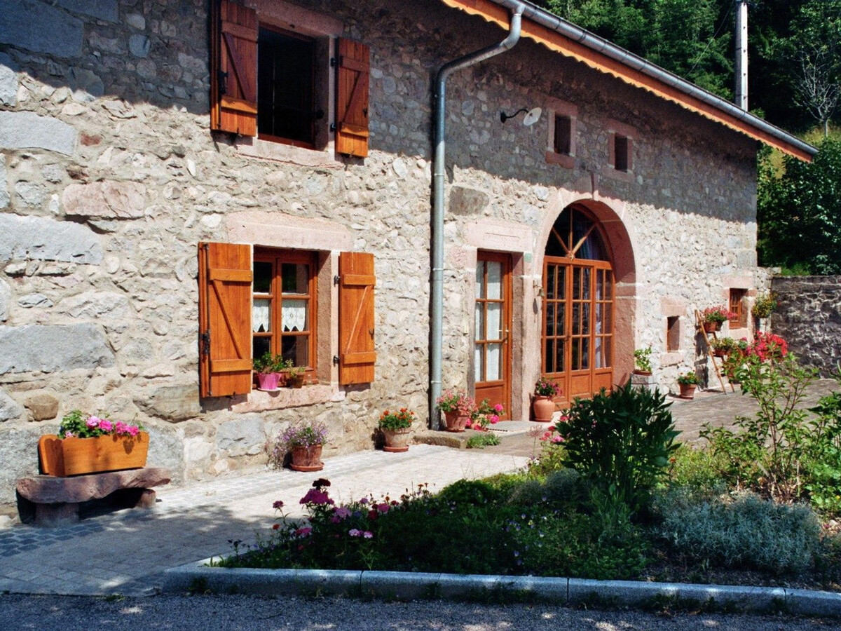 Gîte du Champ du Bois : appartement 6 pers. aux Vosges - Photo 1