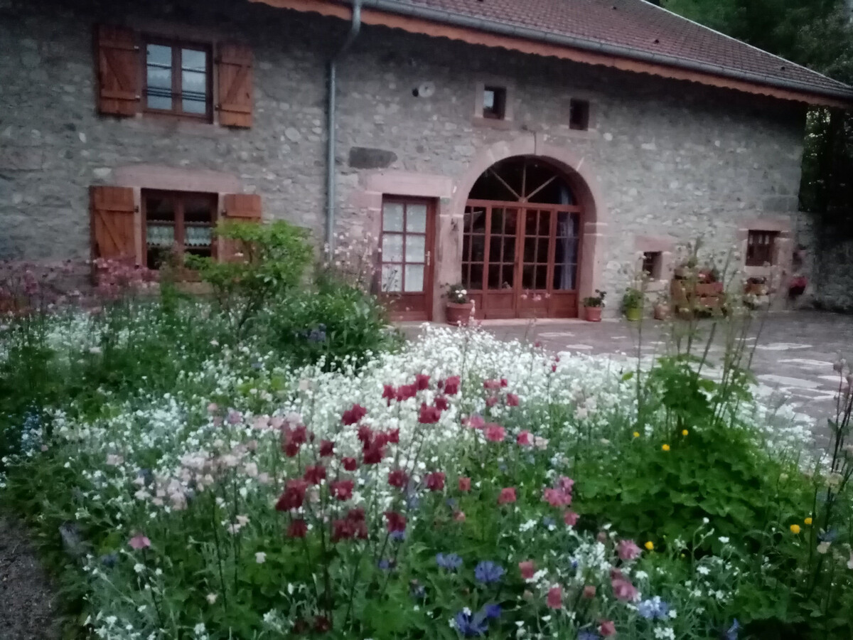 Gîte du Champ du Bois : appartement 6 pers. aux Vosges - Photo 2