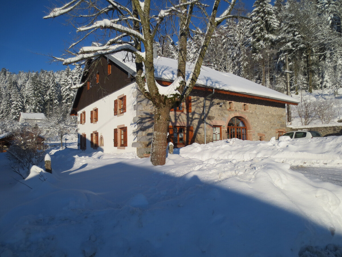 Gîte du Champ du Bois : appartement 6 pers. aux Vosges - Photo 16