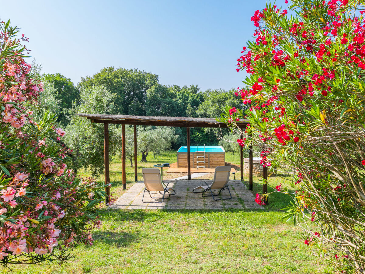 Rustico avec piscine à Bibbona, 5 pers. - Photo 4