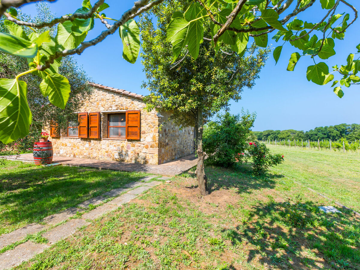 Rustico avec piscine à Bibbona, 5 pers. - Photo 32