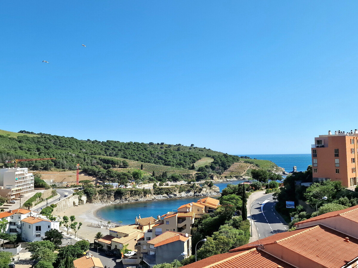 Appartement 4 pers. climatisé à Banyuls-sur-Mer, terrasse plage - Photo 1