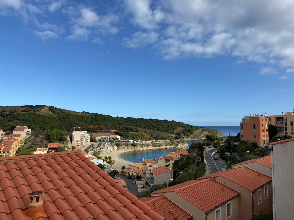 Appartement 4 pers. climatisé à Banyuls-sur-Mer, terrasse plage - Photo 4