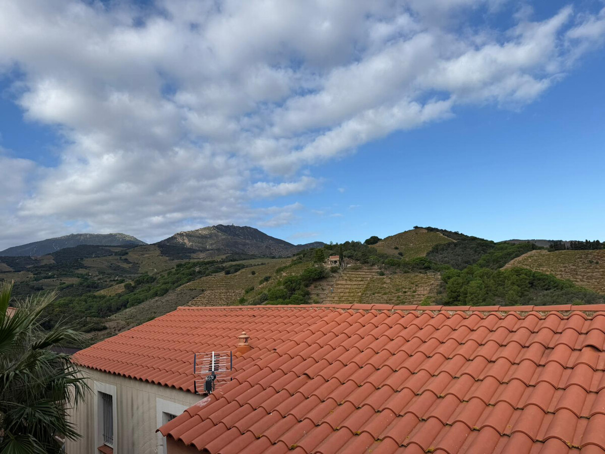 Appartement 4 pers. climatisé à Banyuls-sur-Mer, terrasse plage - Photo 5