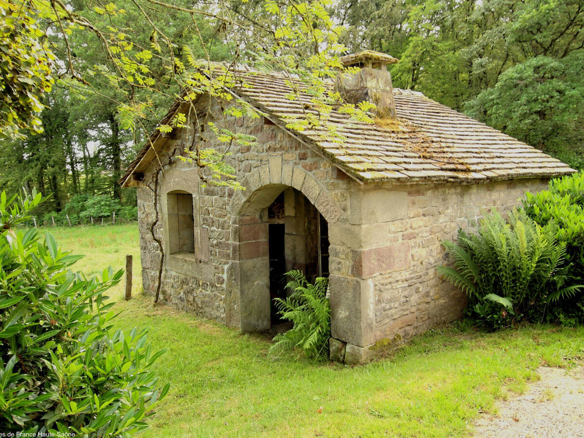 Gîte nature aux Vosges Saônoises, Plateau des Mille étangs - Photo 23