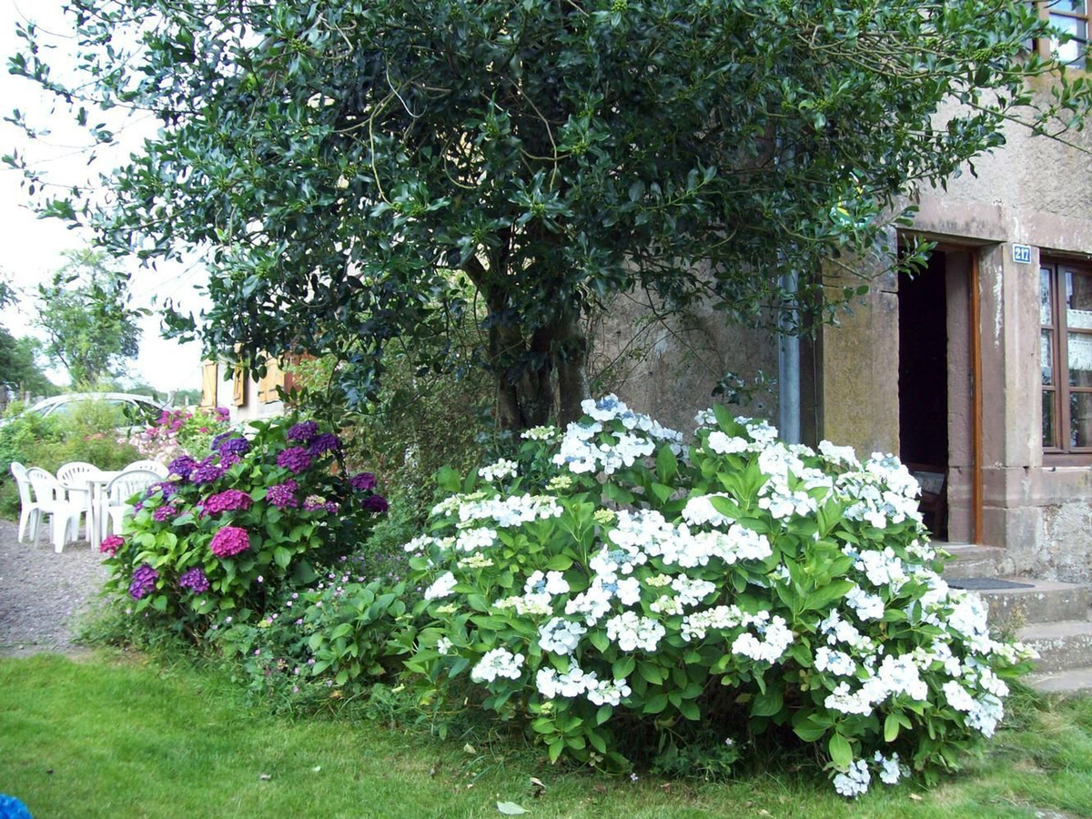 Gîte 11 personnes dans ancienne ferme rénovée aux Vosges - Photo 24