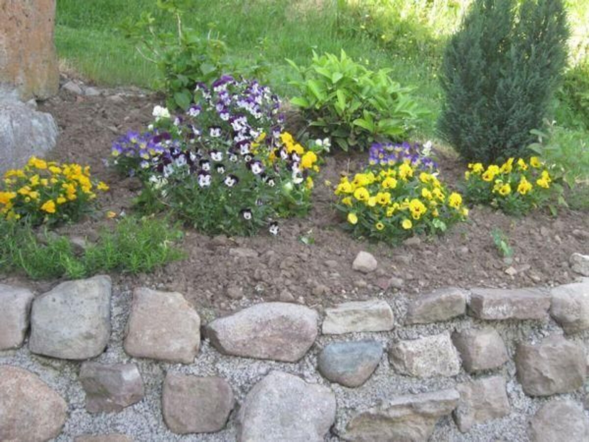 Gîte de charme dans les Vosges Saônoises - Photo 30