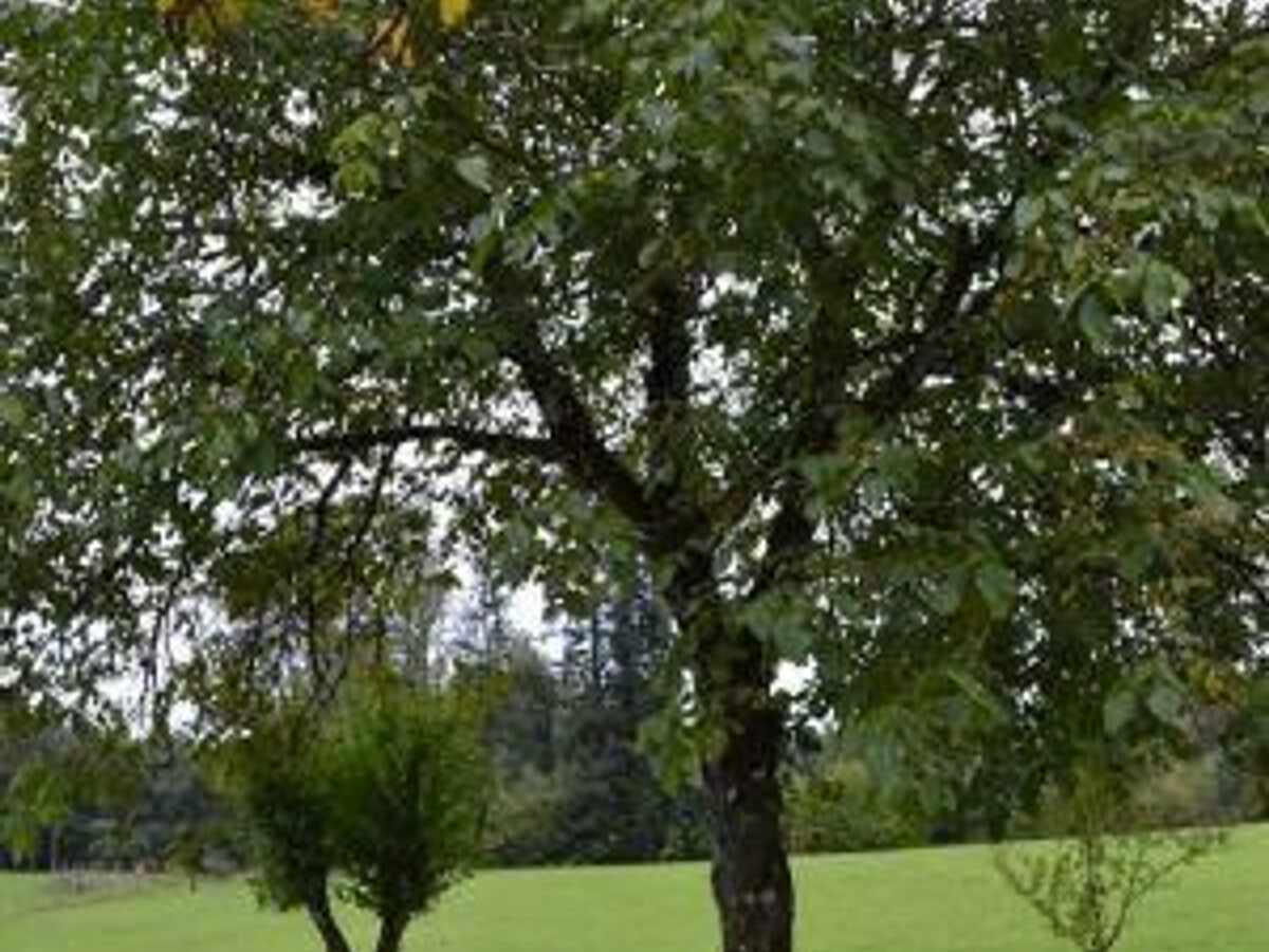 Gîte de charme dans les Vosges Saônoises - Photo 32