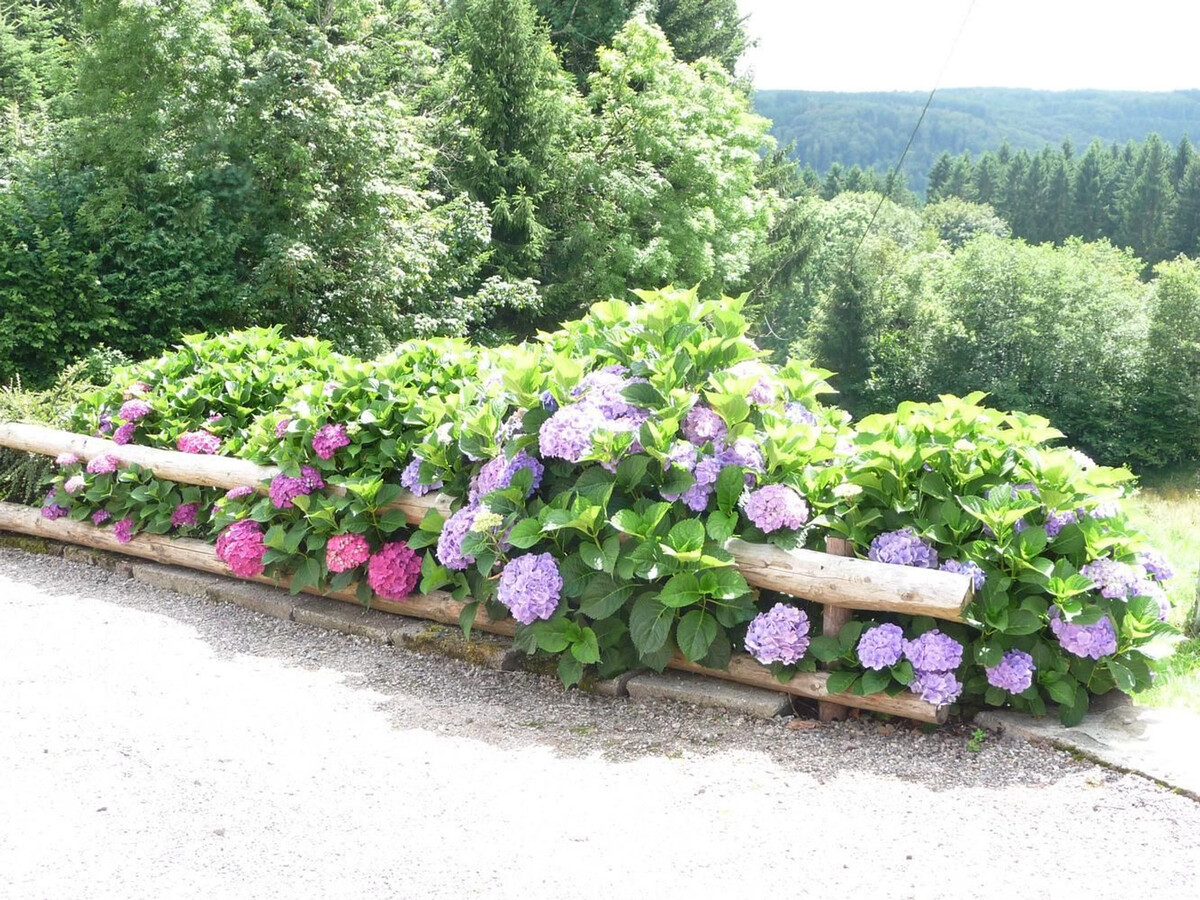 Gîte isolé 6 pers. aux Vosges Saônoises, animaux acceptés - Photo 24