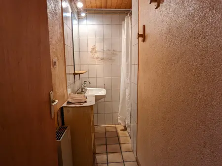 Gîte Les Landres, maison isolée en forêt à Servance-Miellin : photo 12