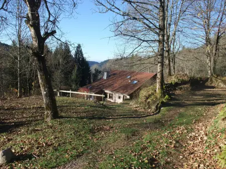 Gîte Les Landres, maison isolée en forêt à Servance-Miellin : photo 13