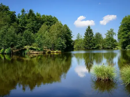 Gîte Les Landres, maison isolée en forêt à Servance-Miellin : photo 16